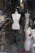 imagegal1